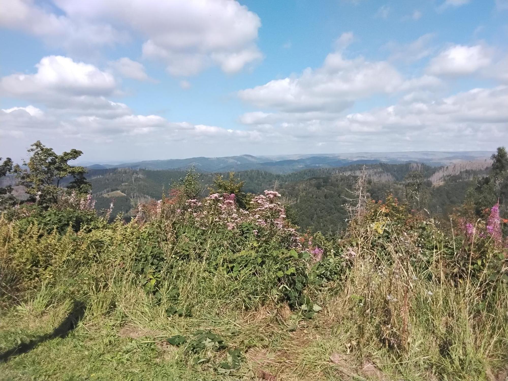 Hochwald Ensuite Bad Sachsa Buitenkant foto