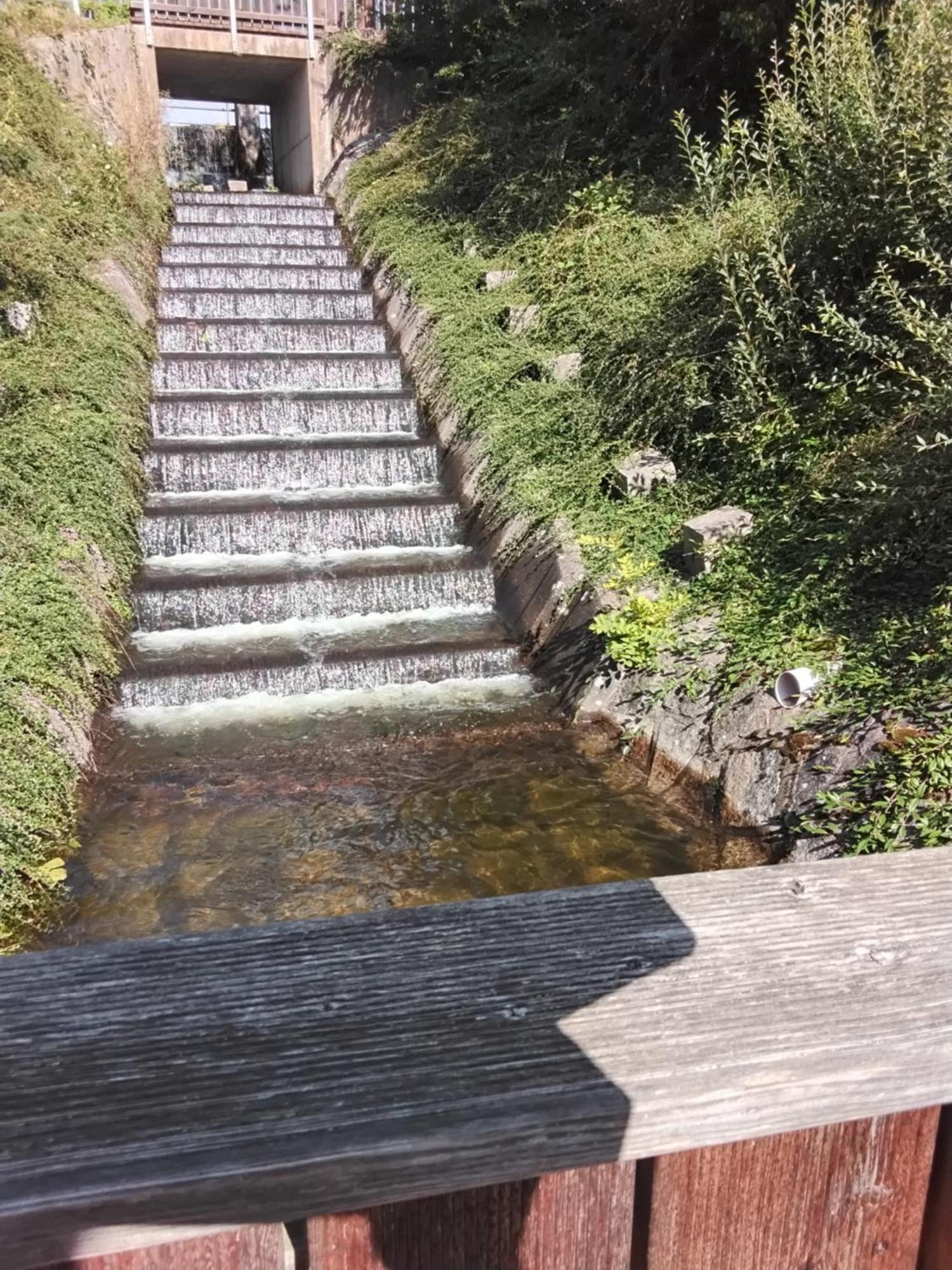 Hochwald Ensuite Bad Sachsa Buitenkant foto