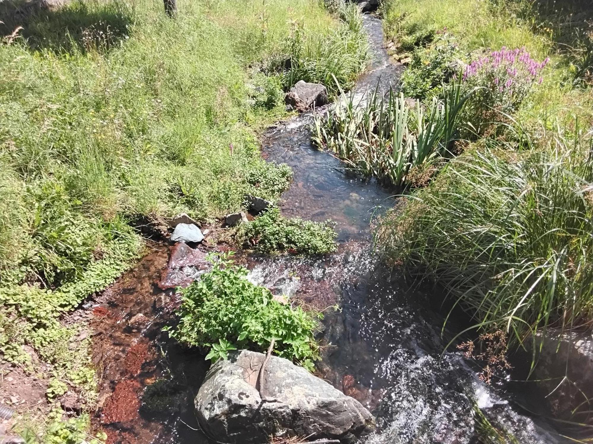 Hochwald Ensuite Bad Sachsa Buitenkant foto