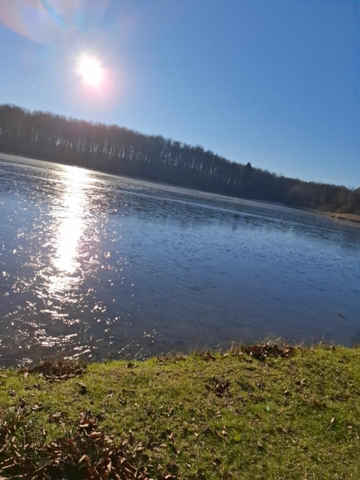 Hochwald Ensuite Bad Sachsa Buitenkant foto