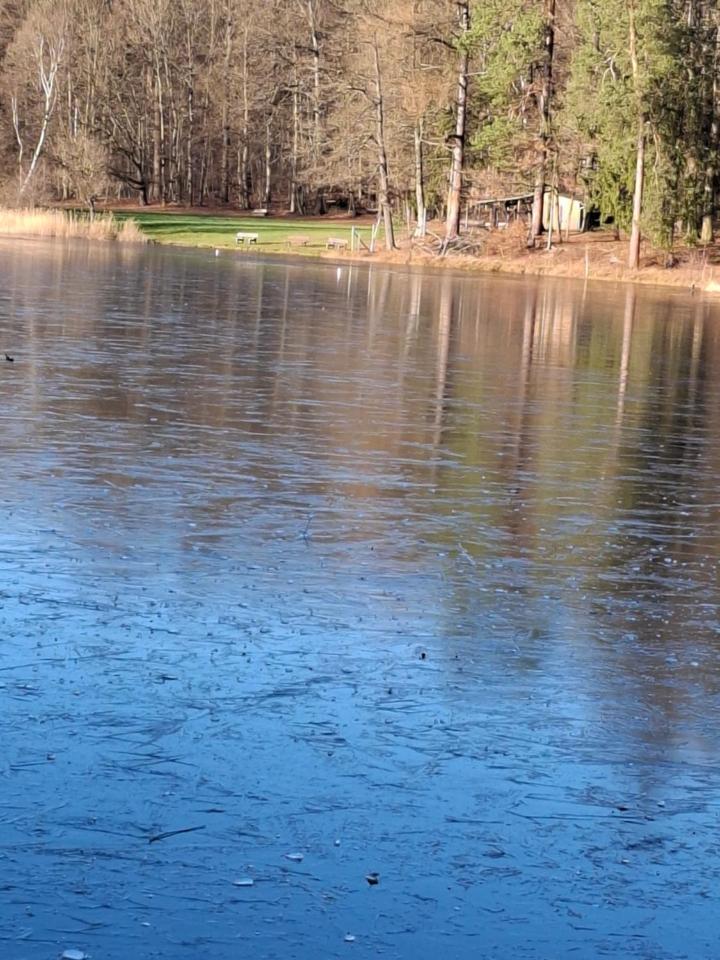 Hochwald Ensuite Bad Sachsa Buitenkant foto