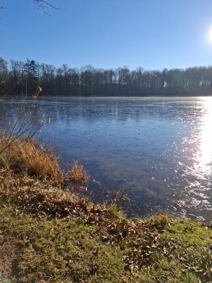 Hochwald Ensuite Bad Sachsa Buitenkant foto